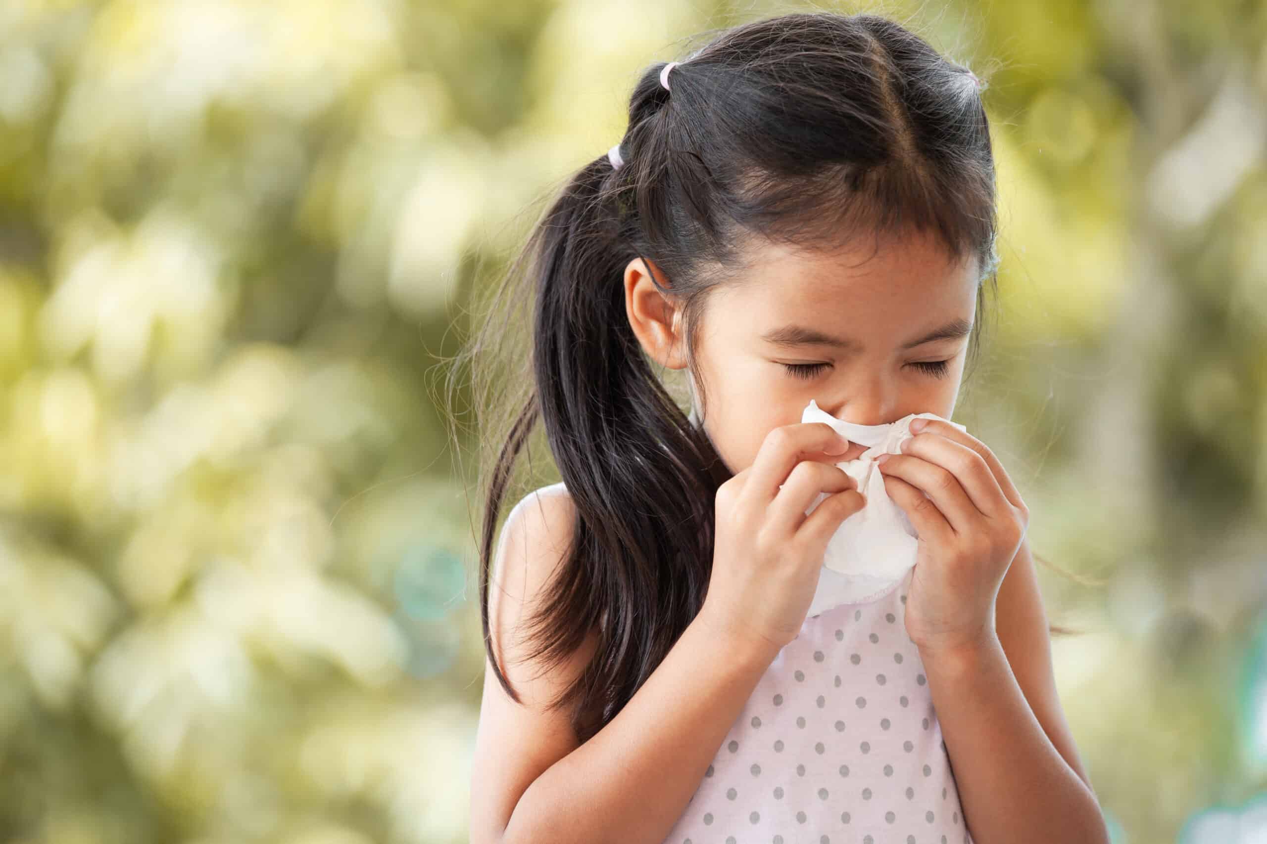 Navigating Spring Allergies: A Survival Guide