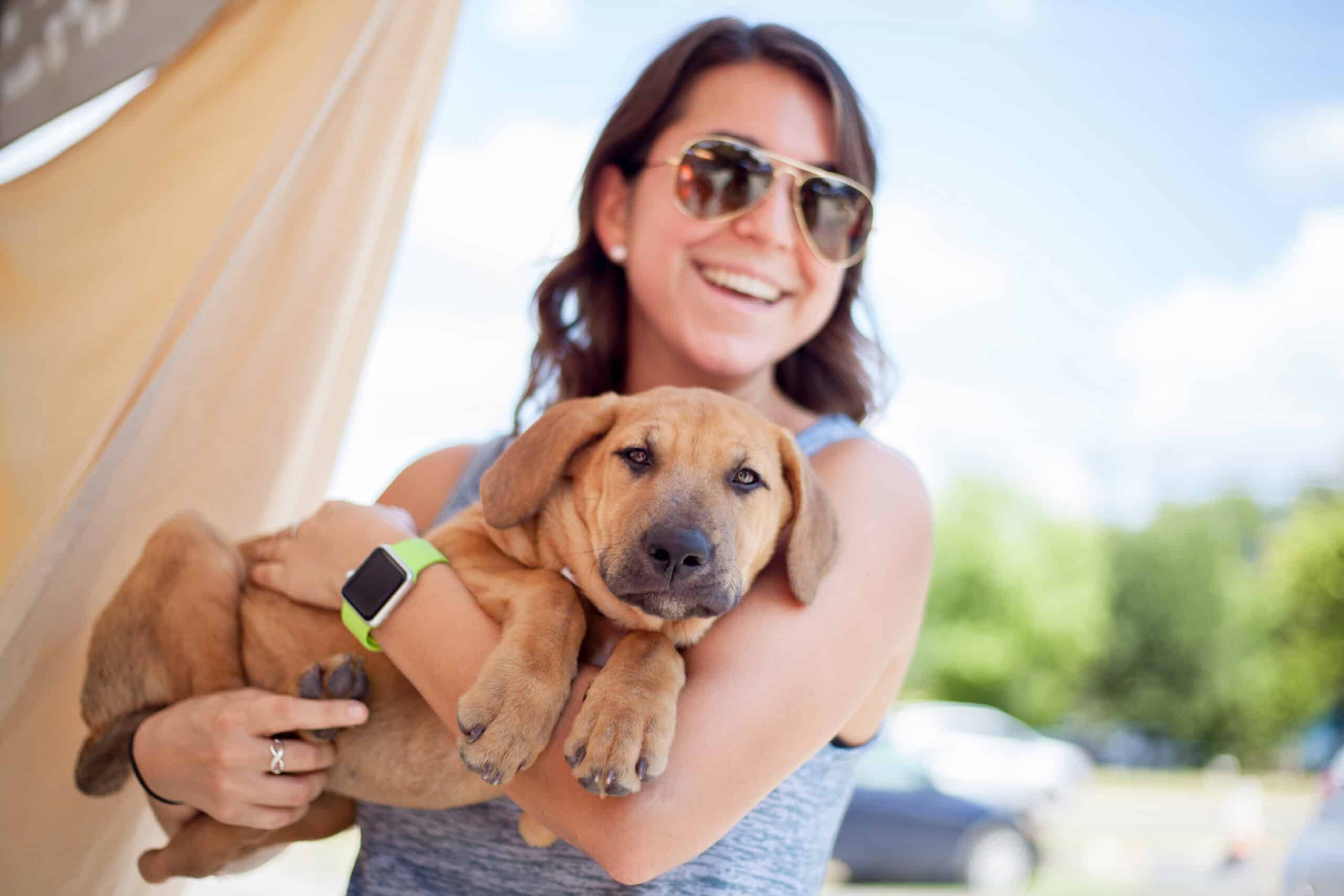 Ally Medical ER Joins Forces with Austin Pets Alive!